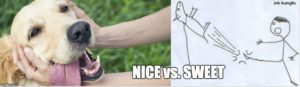 nice vs sweet